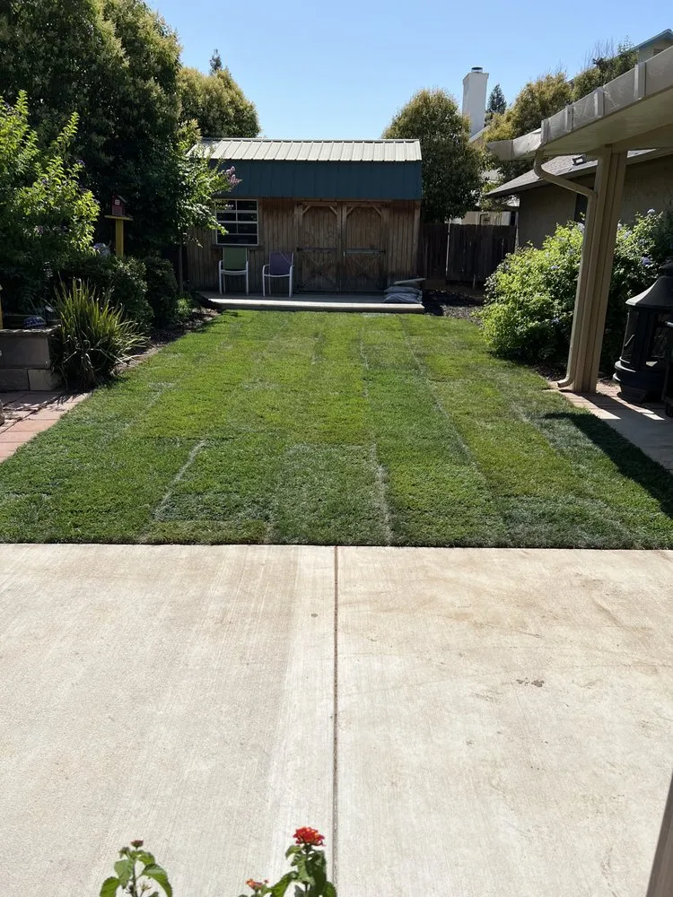 Local landscape design in Fresno, CA - Gover Green Landscaping