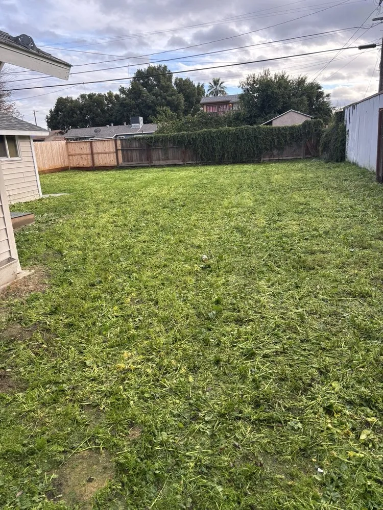 Trusted landscaping services near you in Fresno, CA by Gover Green Landscaping