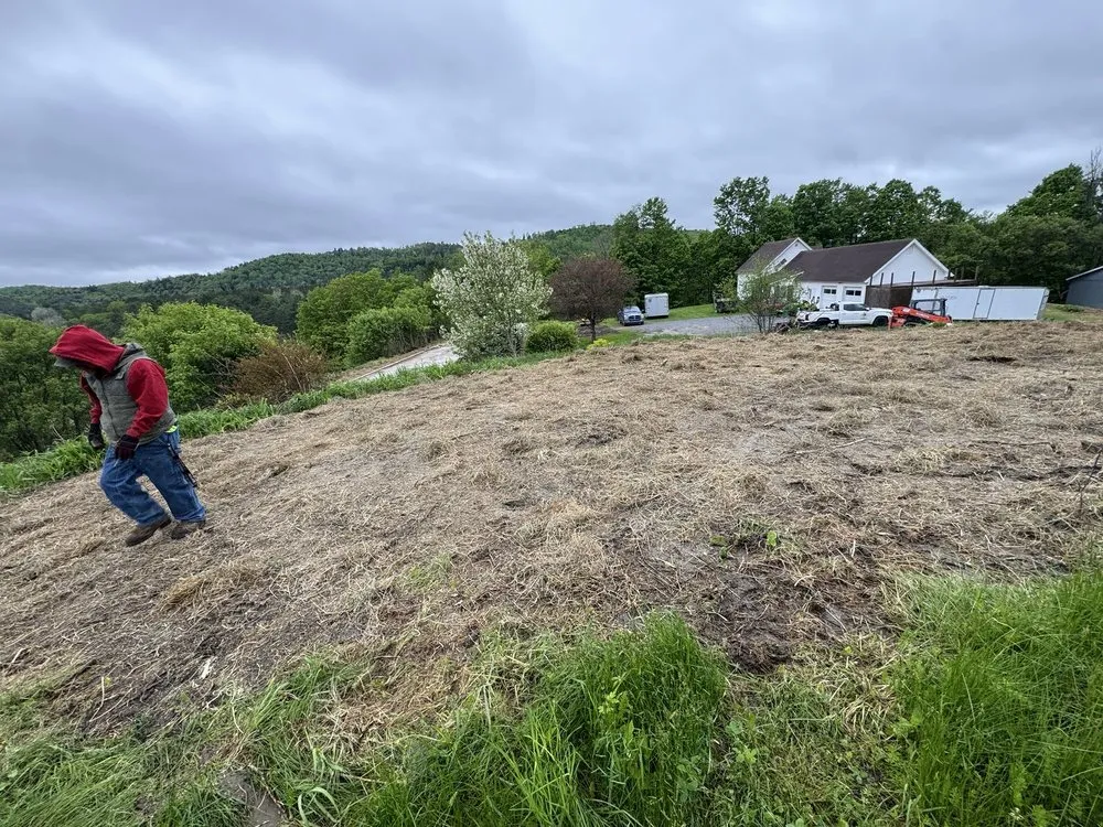 Affordable yard cleanup service near you in Grand Isle, VT by Govers Excavation