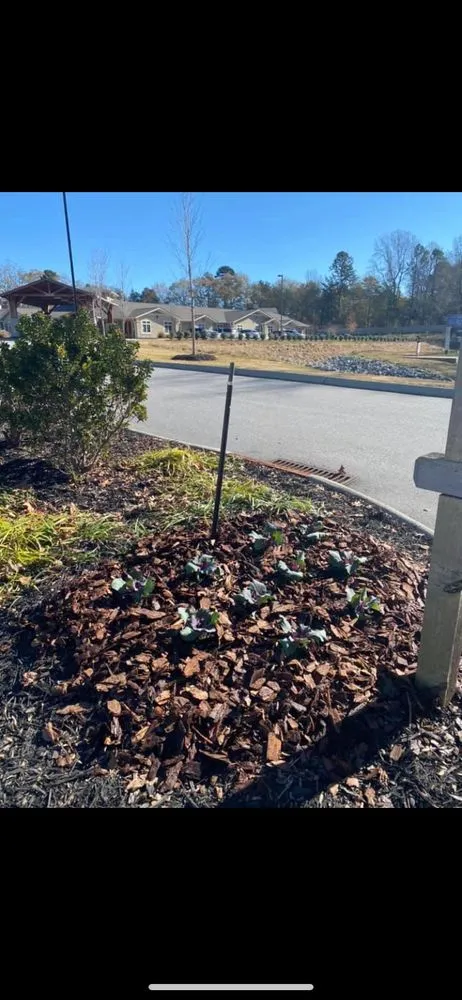 Affordable yard cleanup service experts serving Simpsonville, SC - Gowan Green Landscaping