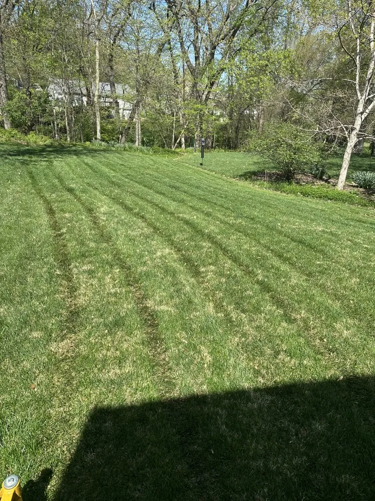 Top-rated landscape installation for year-round maintenance in Hazelwood, MO by Gowes Landscaping