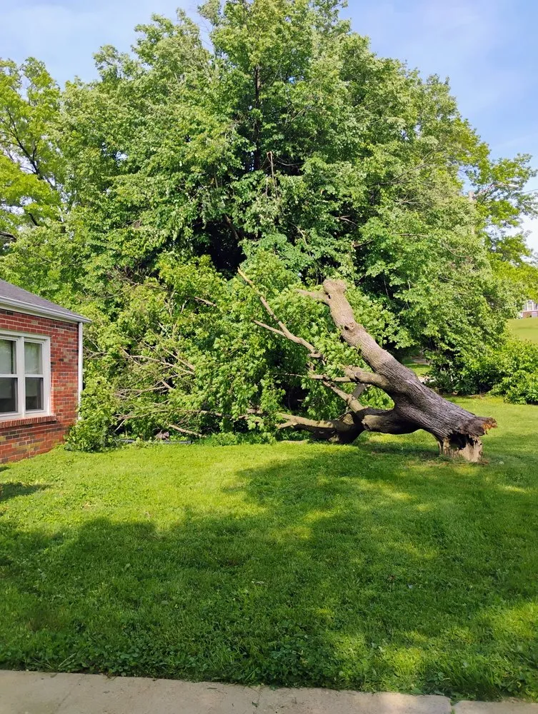 Local garden landscaping for outdoor upgrades in Hazelwood, MO by Gowes Landscaping