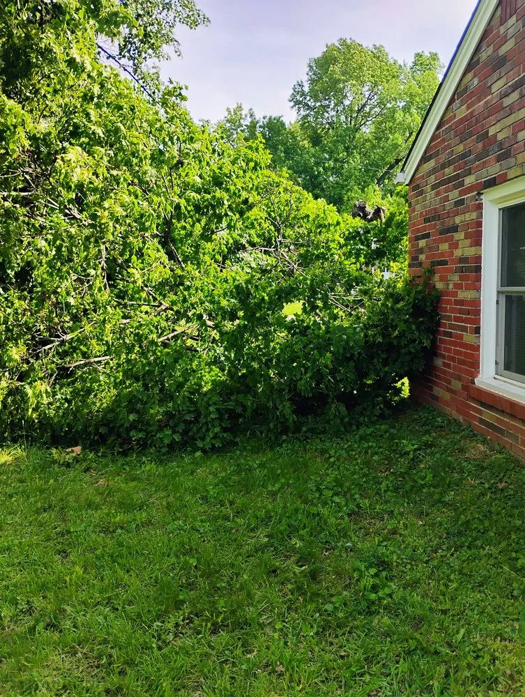 Local lawn care service for homes in Hazelwood, MO by Gowes Landscaping