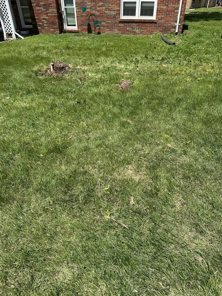 Local garden landscaping in Hazelwood, MO by Gowes Landscaping