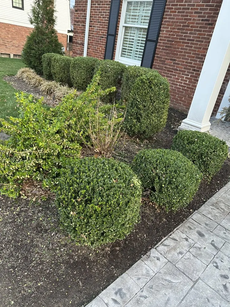 Expert outdoor landscaping in Hazelwood, MO - Gowes Landscaping
