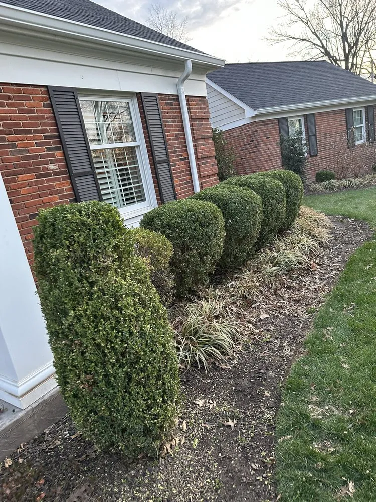 Expert lawn care service in Hazelwood, MO - Gowes Landscaping