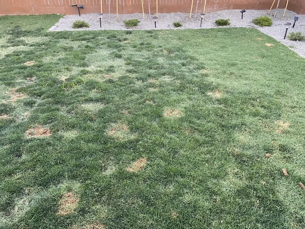 Trusted outdoor landscaping in Tulare, CA by Gowin Green