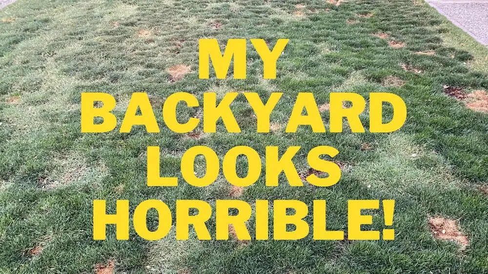 Trusted landscape installation in Tulare, CA - Gowin Green