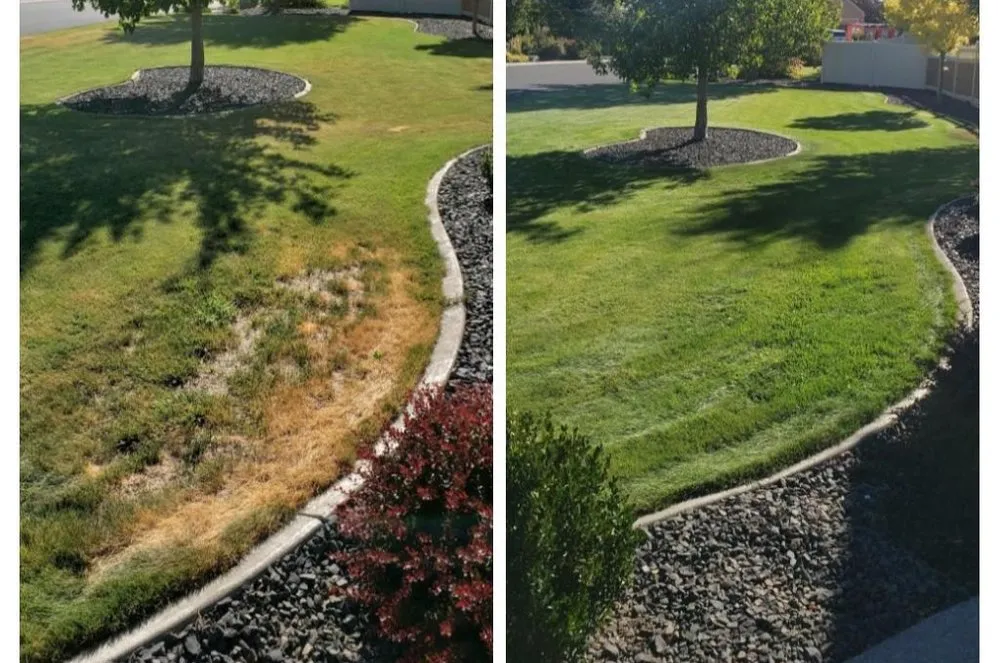 Local landscaping services for outdoor upgrades in Spokane, WA by Gowin Pest Solutions