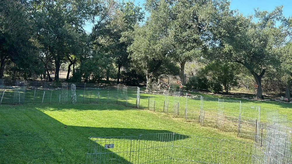 Expert yard maintenance in Jarrell, TX by Goyos Landscaping Services