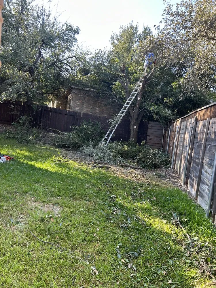 Affordable landscaping services in Jarrell, TX - Goyos Landscaping Services