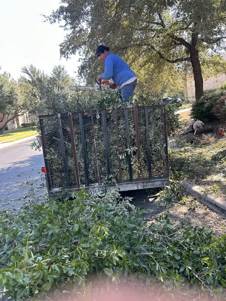 Trusted lawn care service for residential properties in Jarrell, TX by Goyos Landscaping Services