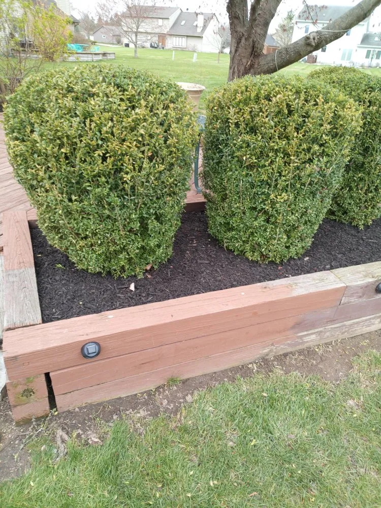 Reliable yard cleanup service experts serving Fort Wayne, IN - Gp Helping Hands