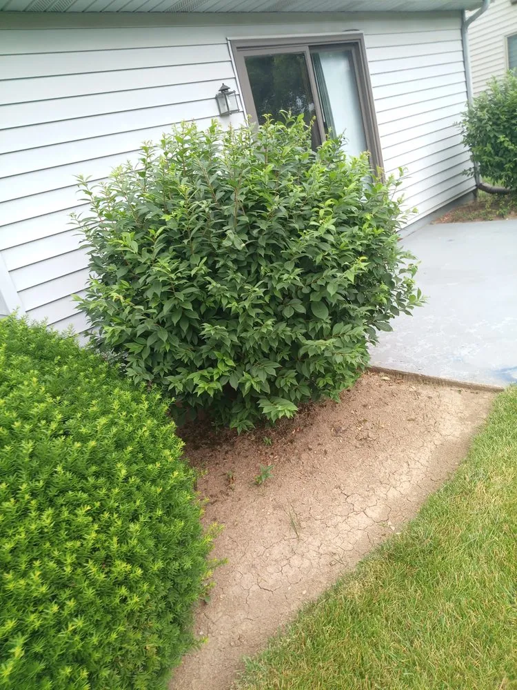 Top-rated yard cleanup service in Fort Wayne, IN by Gp Helping Hands