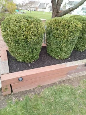 Gp Helping Hands Logo