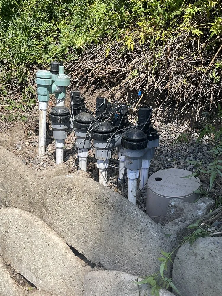 Trusted outdoor landscaping for residential properties across Oceanside, CA - GP Landscape & Maintenance