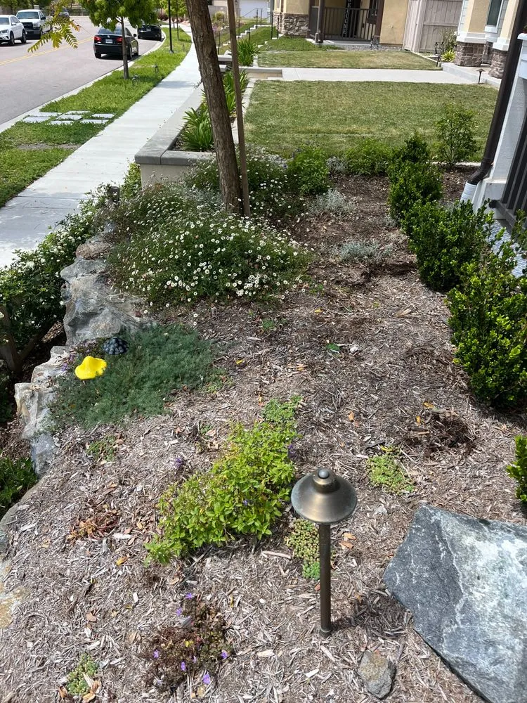 Top-rated yard maintenance in Oceanside, CA by GP Landscape & Maintenance