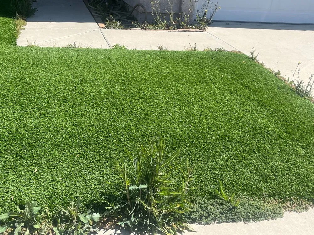 Trusted outdoor landscaping for beautiful yards in Oceanside, CA by GP Landscape & Maintenance