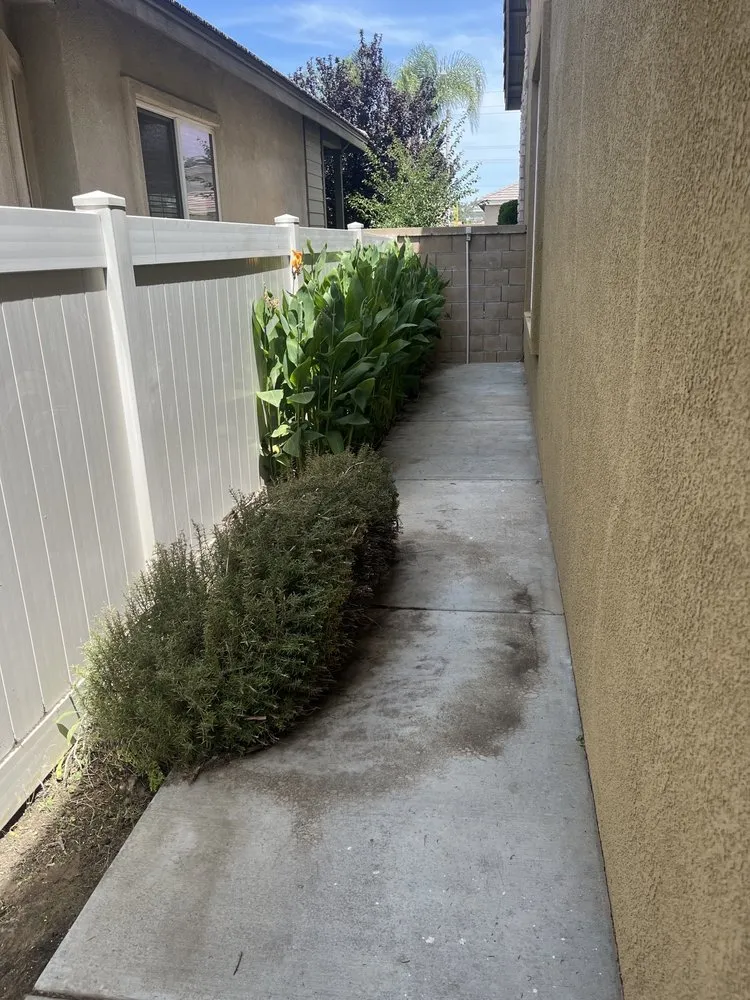 Custom landscape design in Oceanside, CA - GP Landscape & Maintenance