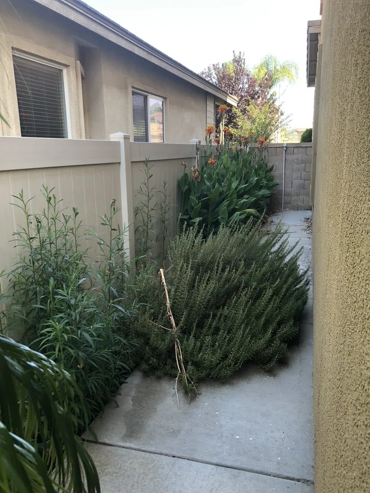 Affordable outdoor landscaping with custom design in Oceanside, CA by GP Landscape & Maintenance