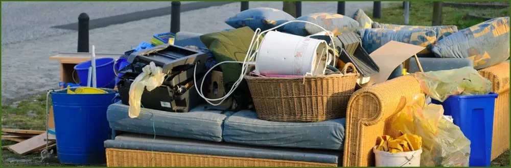 Affordable yard cleanup service experts serving Oceanside, CA - GP Landscape & Maintenance