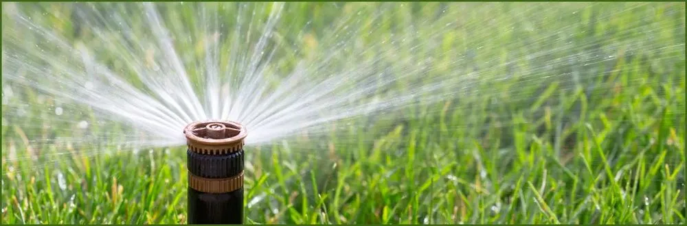 Trusted yard maintenance in Oceanside, CA by GP Landscape & Maintenance