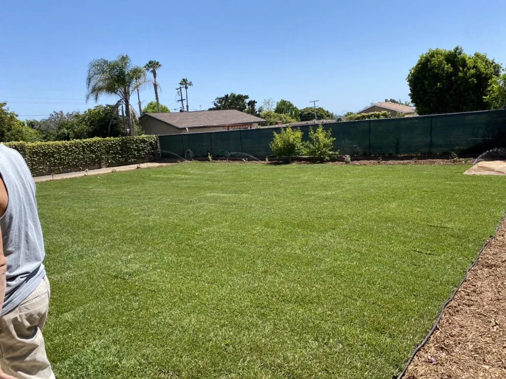 Trusted yard cleanup service for residential properties in Oceanside, CA by GP Landscape & Maintenance