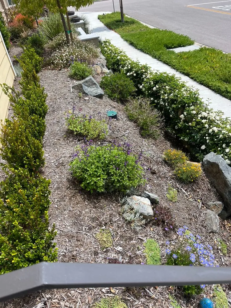 Affordable yard maintenance in Oceanside, CA - GP Landscape & Maintenance