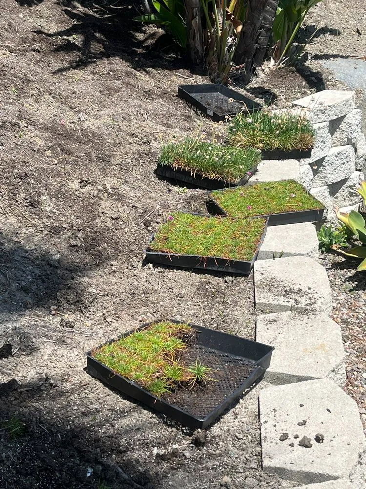 Trusted landscape installation with custom design in Oceanside, CA by GP Landscape & Maintenance