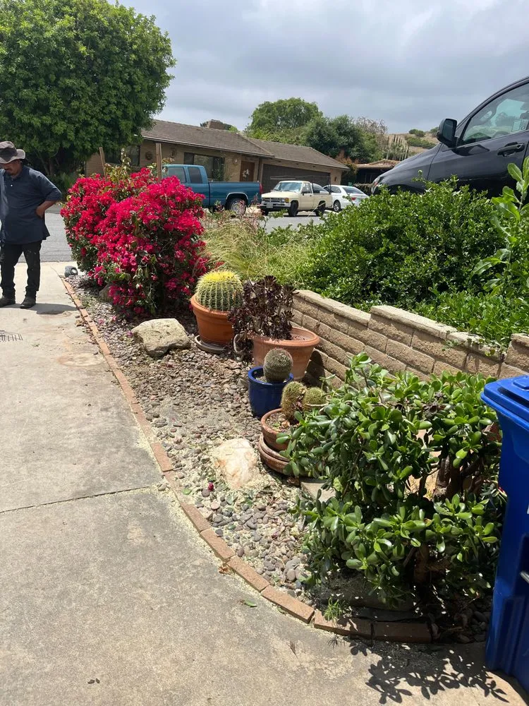 Local landscape design experts serving Oceanside, CA - GP Landscape & Maintenance