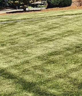 Trusted yard maintenance with custom design across Chamblee, GA - GP Landscape