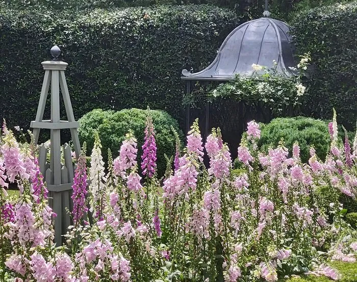 Professional yard maintenance in Chamblee, GA - GP Landscape