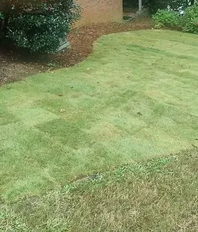 Reliable residential landscaping in Chamblee, GA by GP Landscape