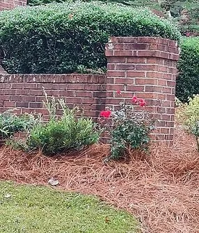 Top-rated landscaping services in Chamblee, GA - GP Landscape