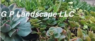 Expert garden landscaping experts serving Chamblee, GA - GP Landscape