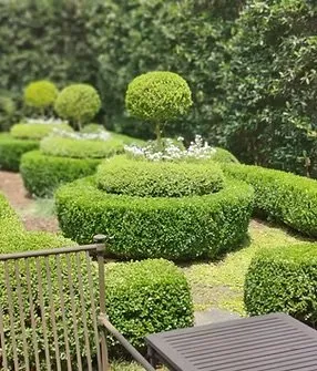 Local lawn care service experts serving Chamblee, GA - GP Landscape