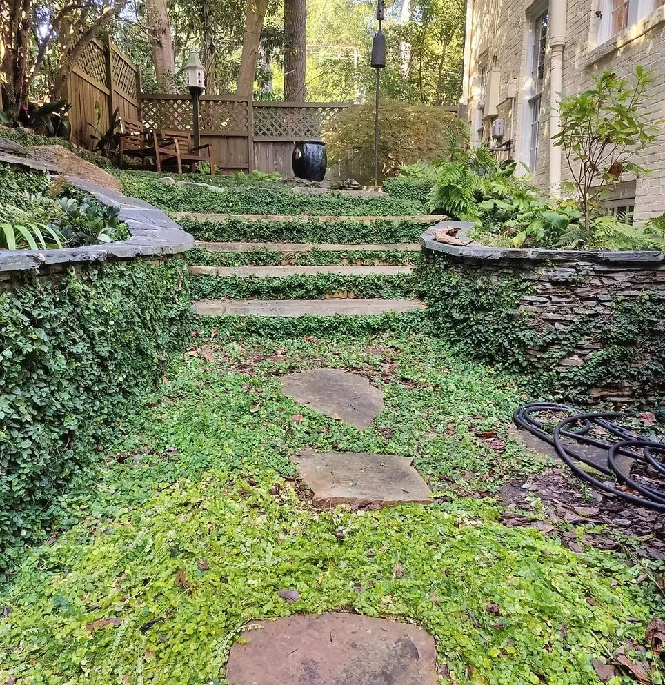 Trusted landscape design for outdoor upgrades in Chamblee, GA by GP Landscape