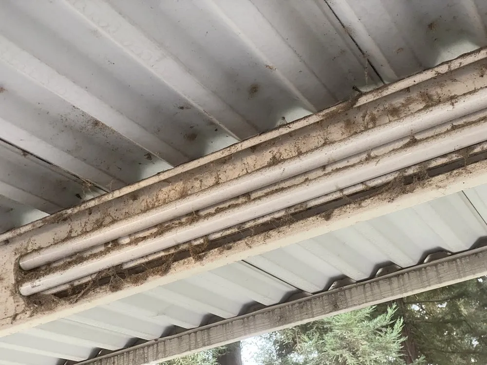 Expert landscaping services near you across Sacramento, CA - GP Landscape