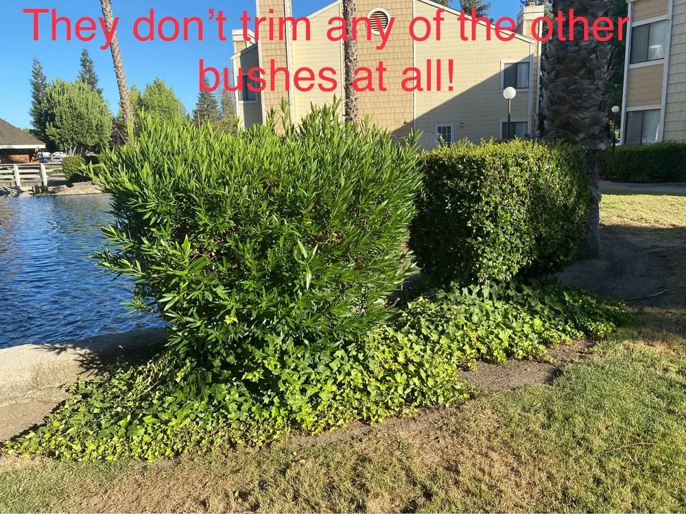 Expert landscape design experts serving Sacramento, CA - GP Landscape