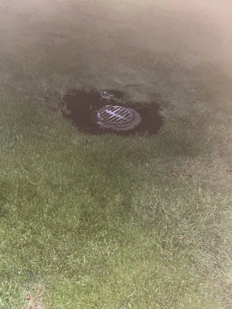 Affordable yard cleanup service for residential properties in Sacramento, CA by GP Landscape