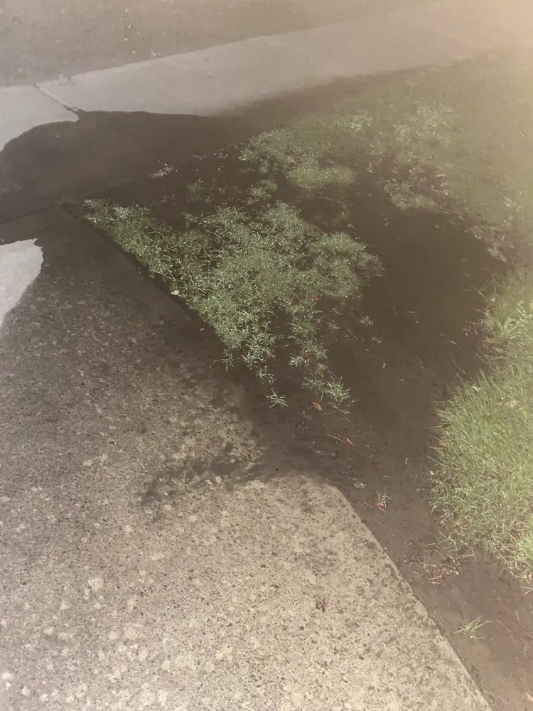 Custom landscape installation experts serving Sacramento, CA - GP Landscape