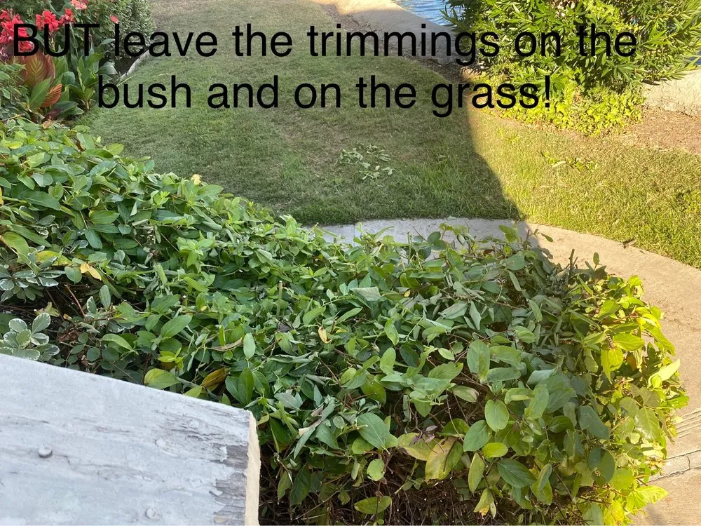 Trusted yard maintenance for residential properties in Sacramento, CA by GP Landscape