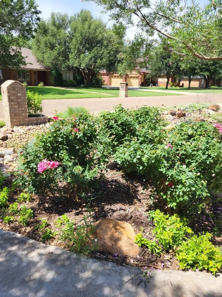 Expert yard maintenance experts serving Brownfield, TX - G&P Landscaping