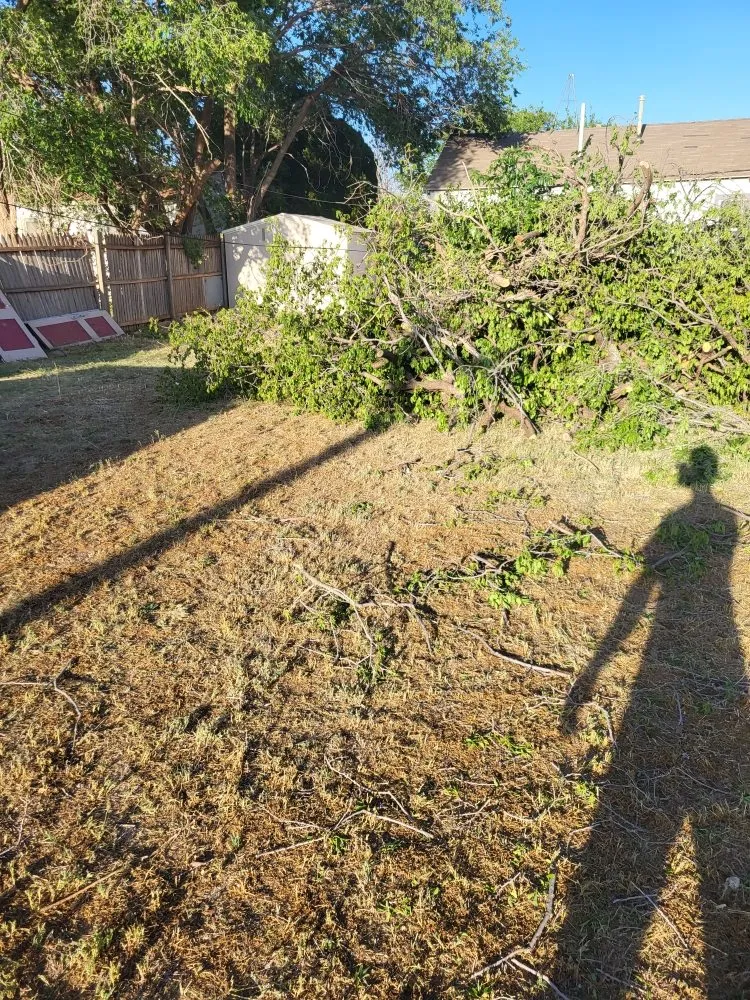 Custom yard cleanup service near you in Brownfield, TX by G&P Landscaping