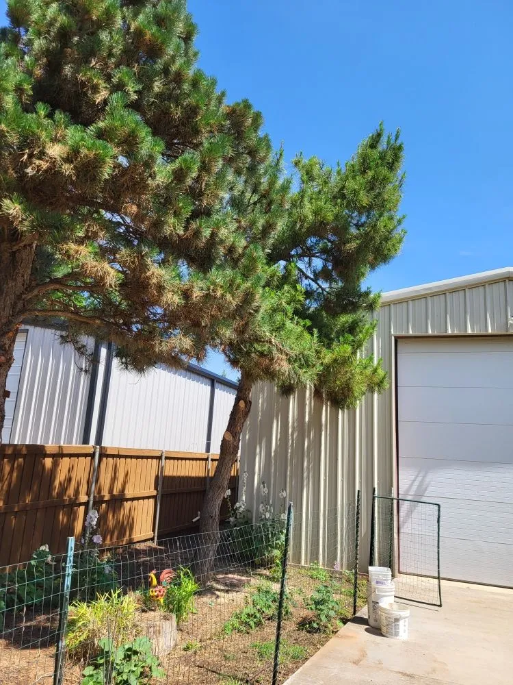 Trusted garden landscaping experts serving Brownfield, TX - G&P Landscaping