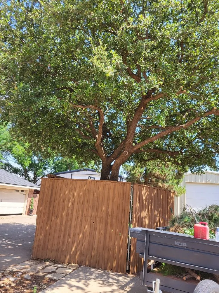 Reliable landscaping services in Brownfield, TX by G&P Landscaping