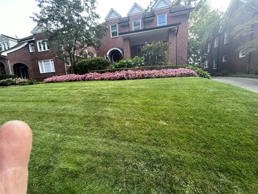 GP Landscaping