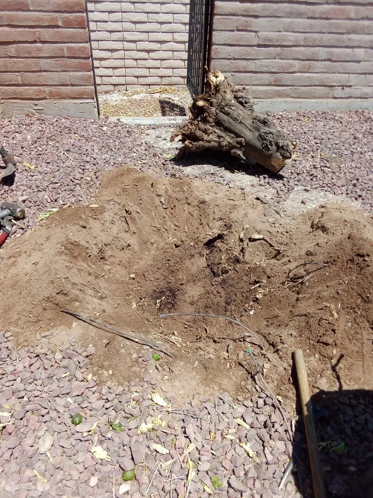 Professional garden landscaping for residential properties in Tucson, AZ by GP Landscaping