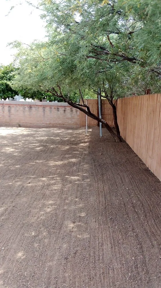 Top-rated outdoor landscaping in Tucson, AZ - GP Landscaping