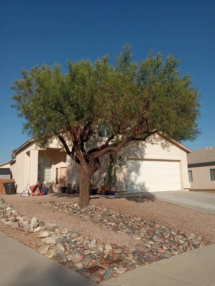 Trusted yard cleanup service for beautiful yards in Tucson, AZ by GP Landscaping